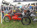 Wilbertoord pakt uut  2019.09.08