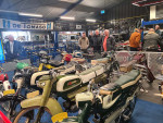Wanne Walm op bezoek in museum in Dongen