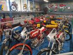 Wanne Walm op bezoek in museum in Dongen