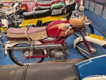 Wanne Walm op bezoek in museum in Dongen