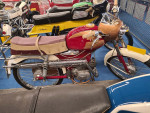Wanne Walm op bezoek in museum in Dongen