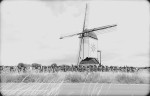 10 jaar Wanne Walm Wanroij - gekniptbykarin-9987